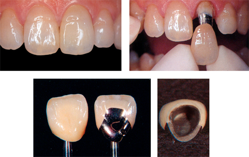 ���^���{���h