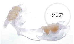 �i�`�������f���`���[