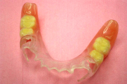 �m���N���X�v�`��